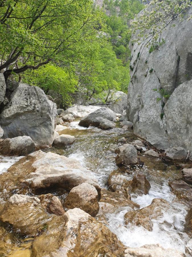 Apartament Vito Starigrad Paklenica Zewnętrze zdjęcie