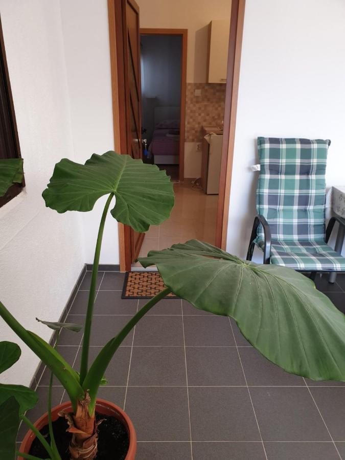 Apartament Vito Starigrad Paklenica Zewnętrze zdjęcie